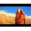 Ali di pieta - Punkreas